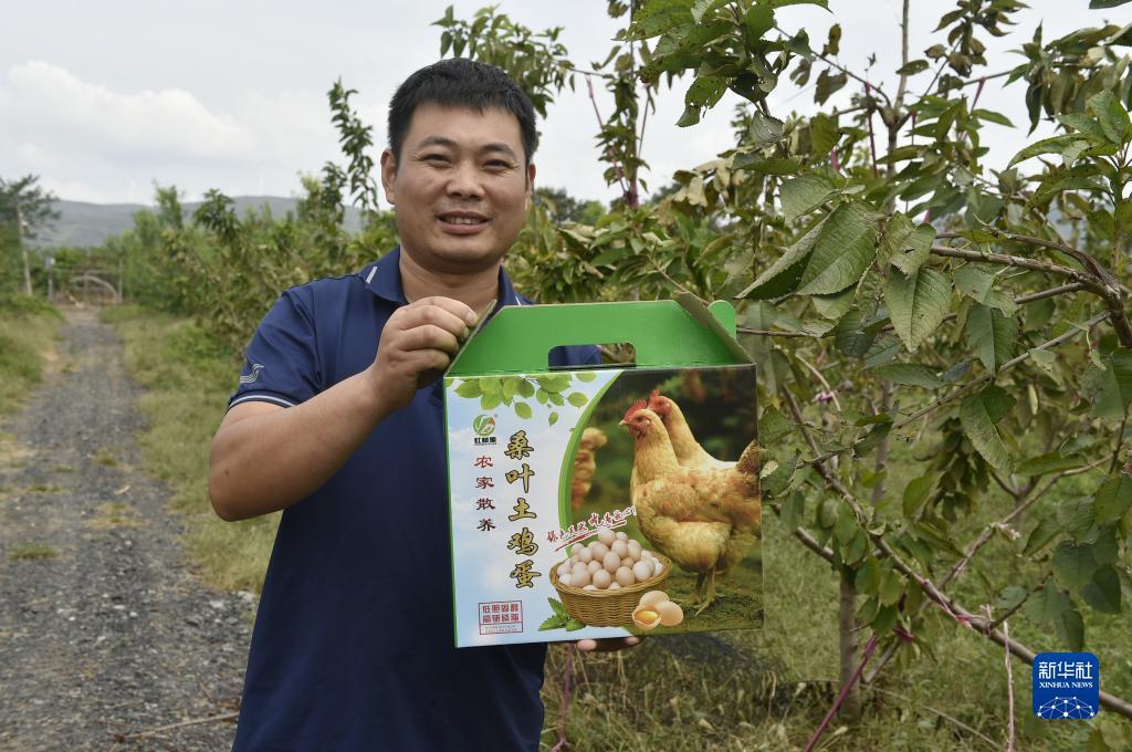 悠悠互娱下载